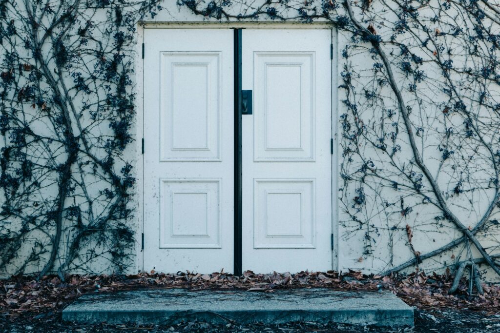 A white door surrounded by ivy and dry leaves on a rustic exterior wall.